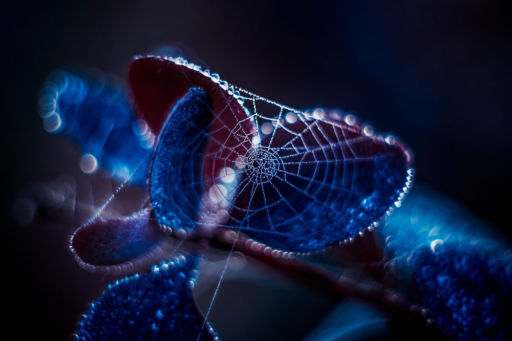 Photograph by Татьяна Антонюк