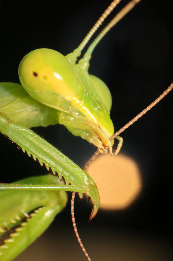 Фотография автора rahul