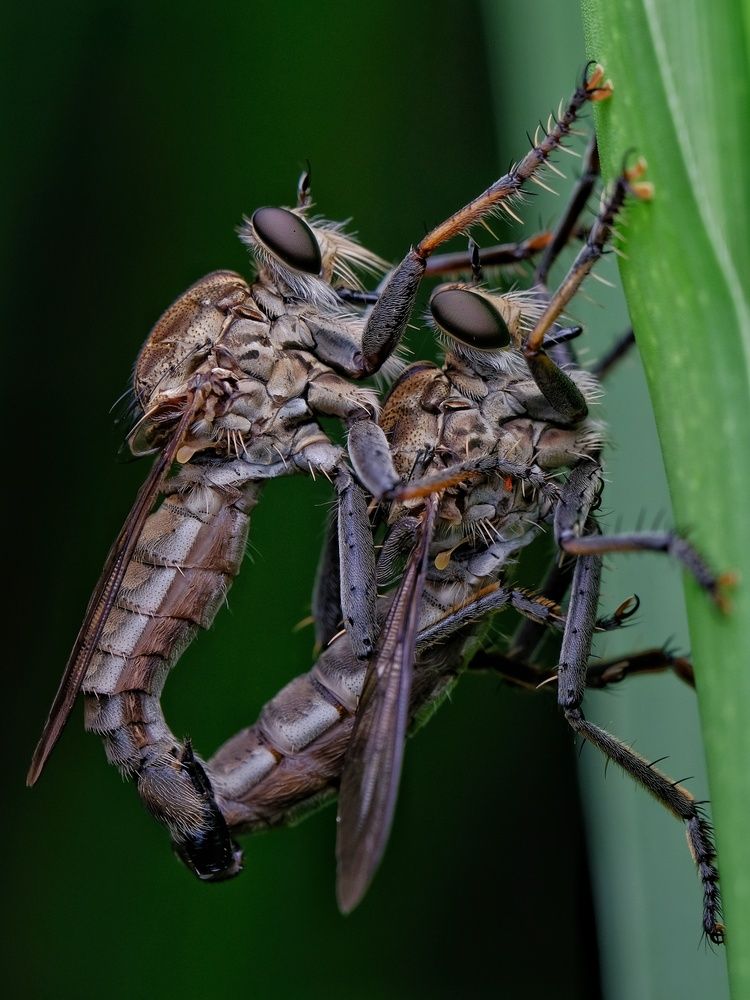 Photograph by catur handoko