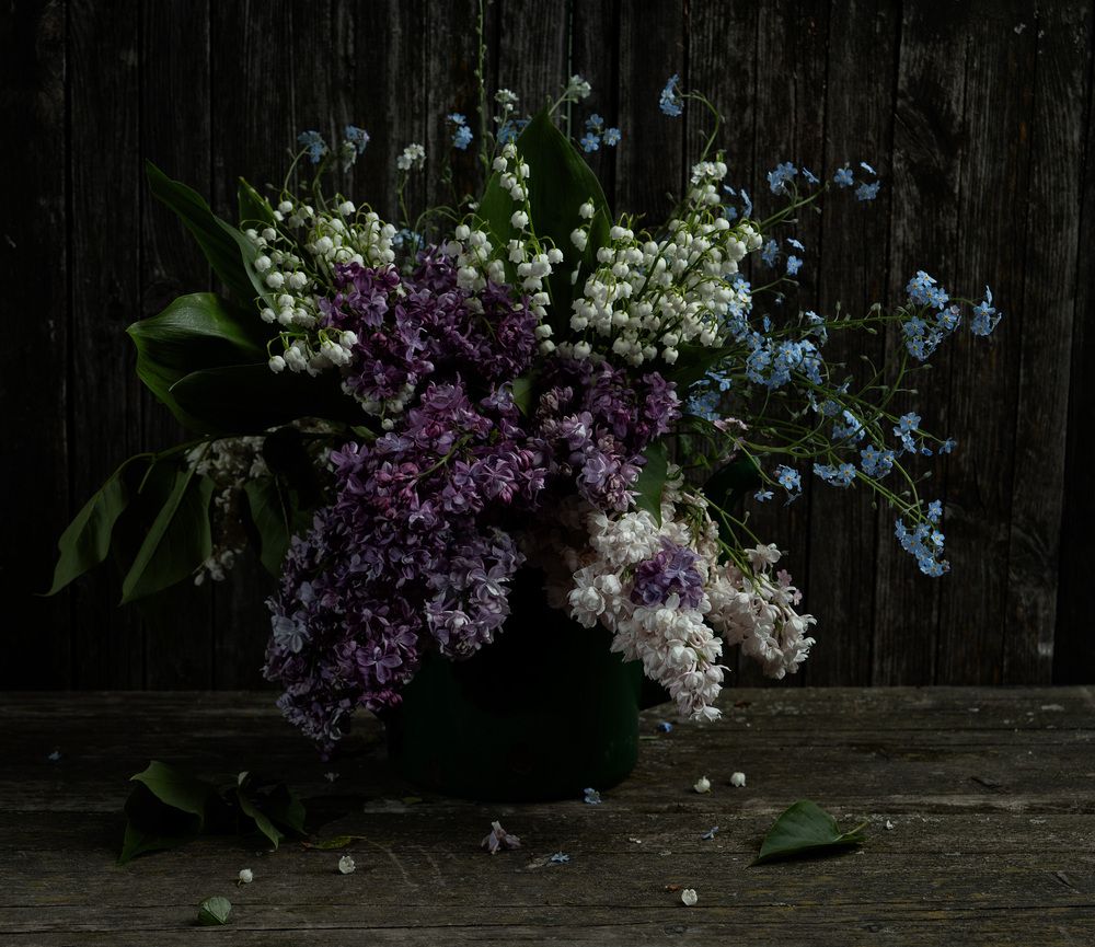 Фотография автора Могилевцева Дарья