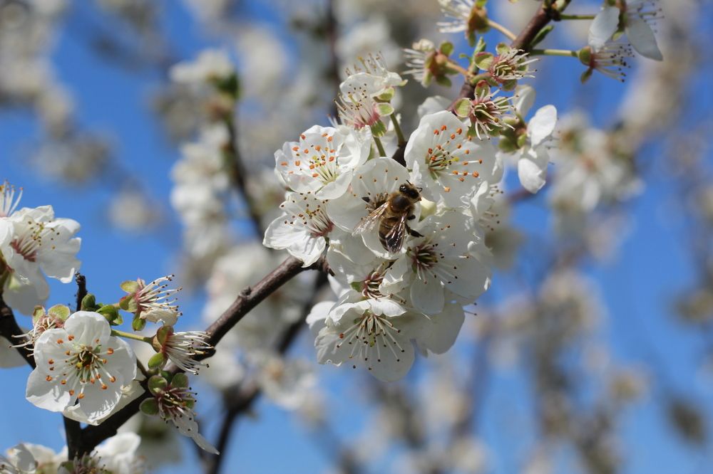 Photograph by Panagiotis Batatolis