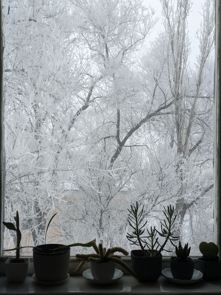 Photograph by Виталий Суслин