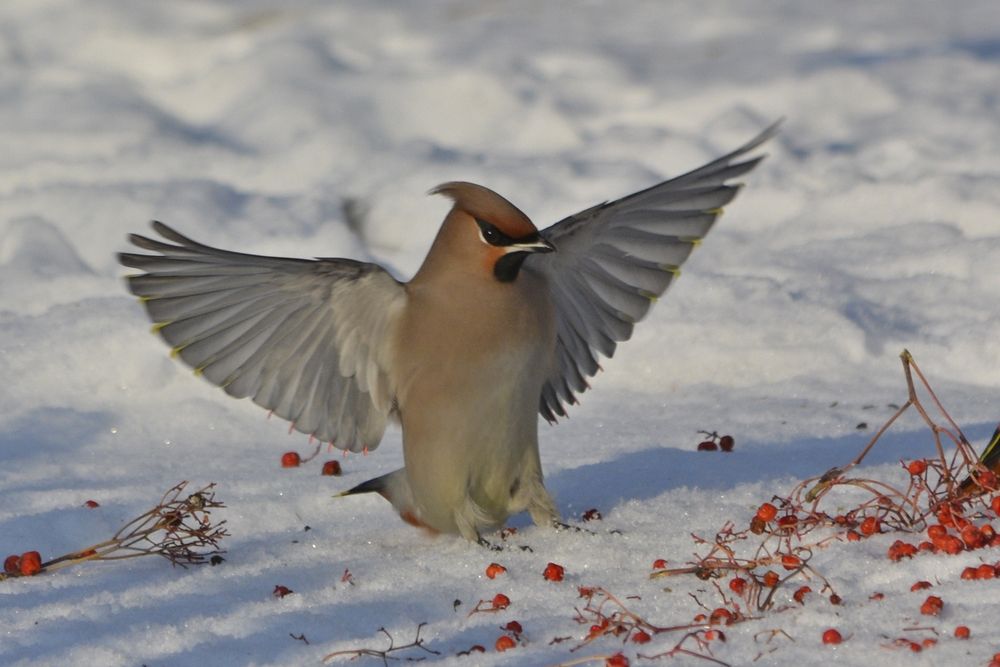 Photograph by Галина Катанова