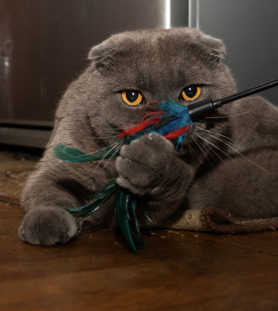 Photograph by Наталья Овчинникова