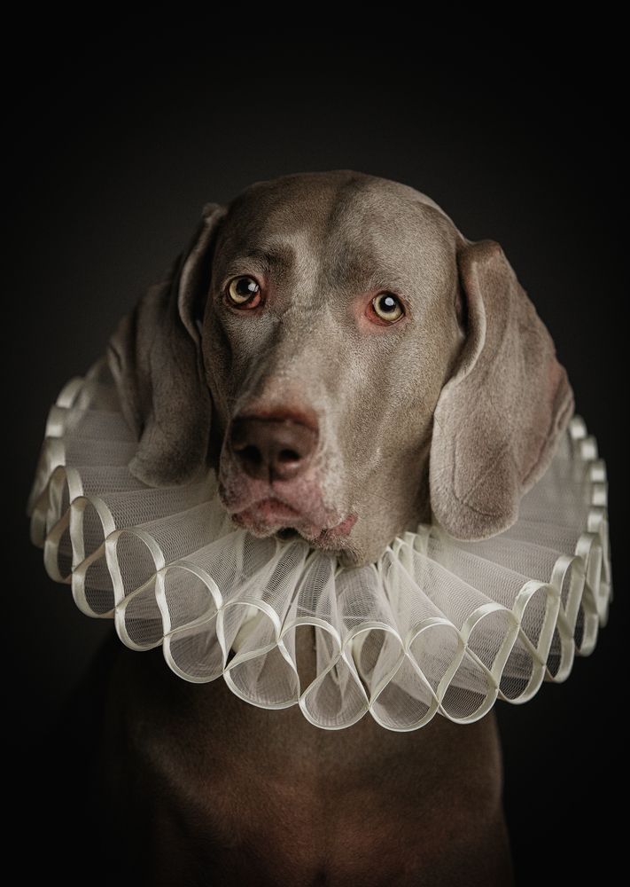 Photograph by Наталия Ватутина