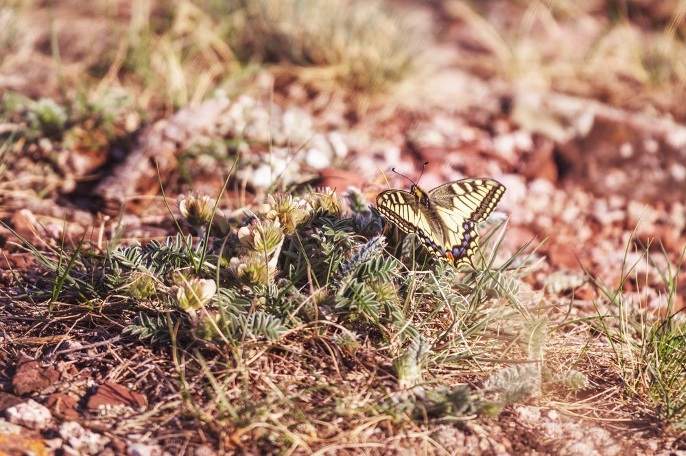 Photograph by Светлана Андреева