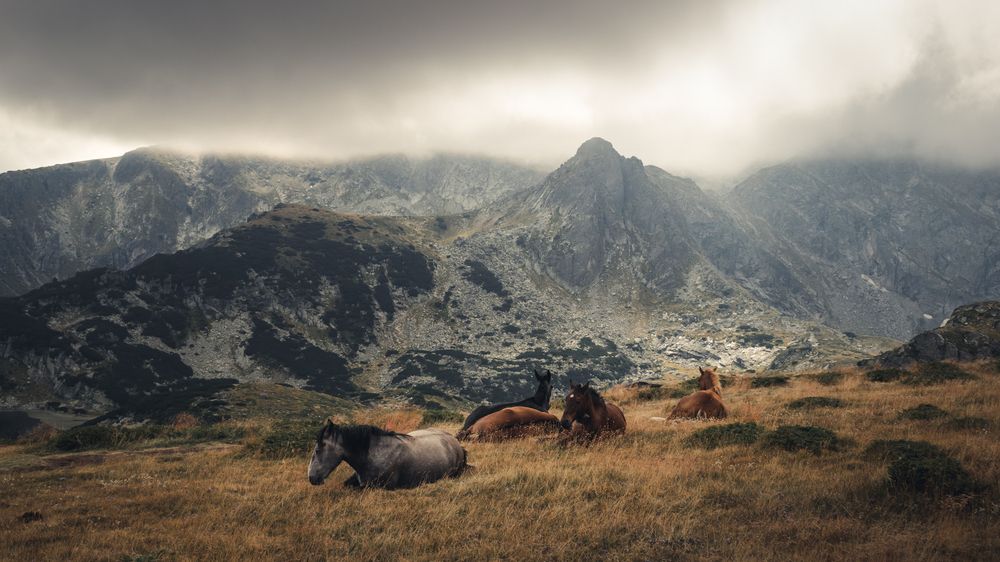 Фотография автора Bogdan Barbulescu
