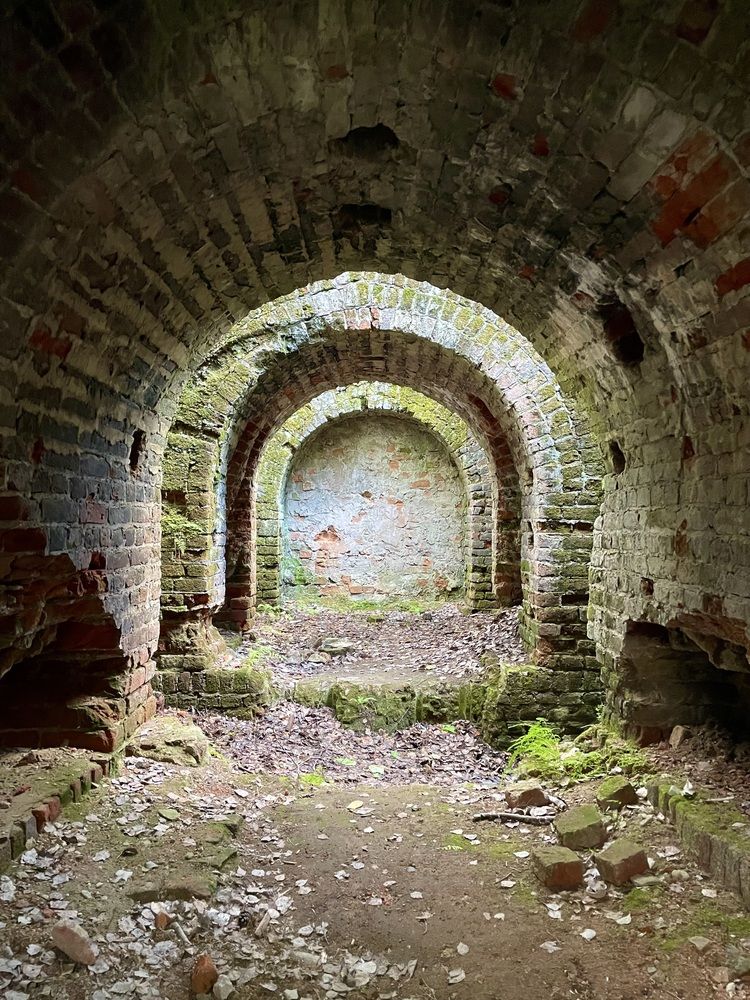 Photograph by Виталий Гибадулин