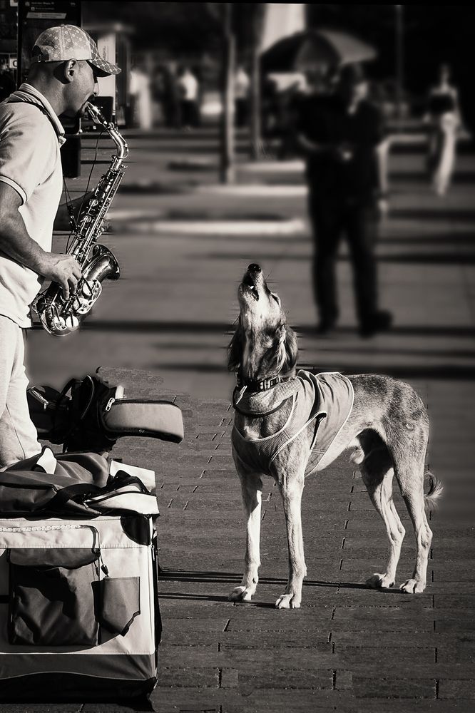 Photograph by Cергей Махинев