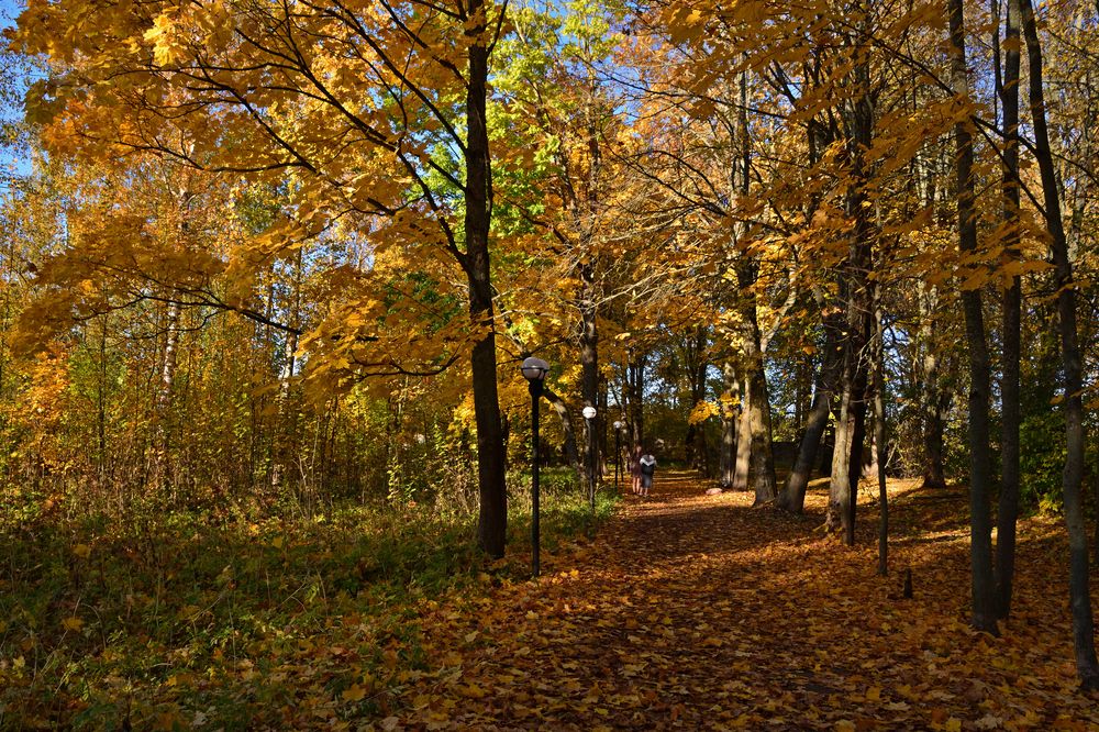 Photograph by Александр Калегин