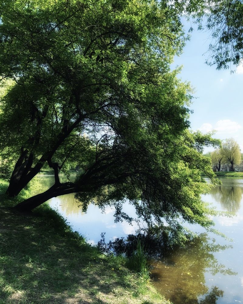 Photograph by Ольга Томашевич