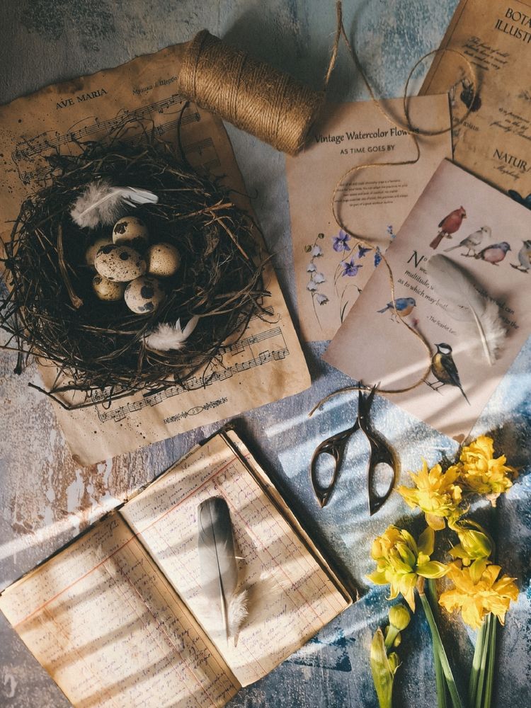 Photograph by Victoria Stoliarenko