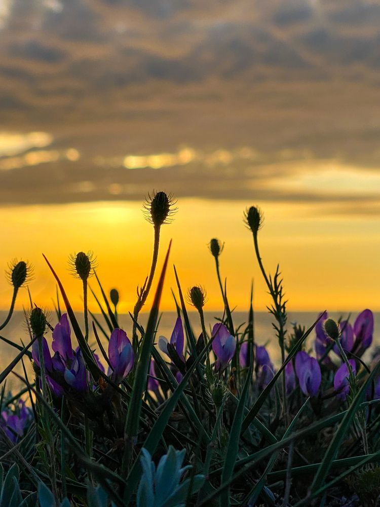 Фотография автора Екатерина Круглик