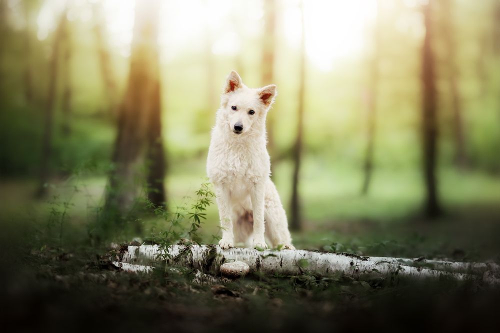 Фотография автора Tereza Krestová