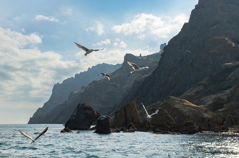 Photograph by Руслан и Ирина