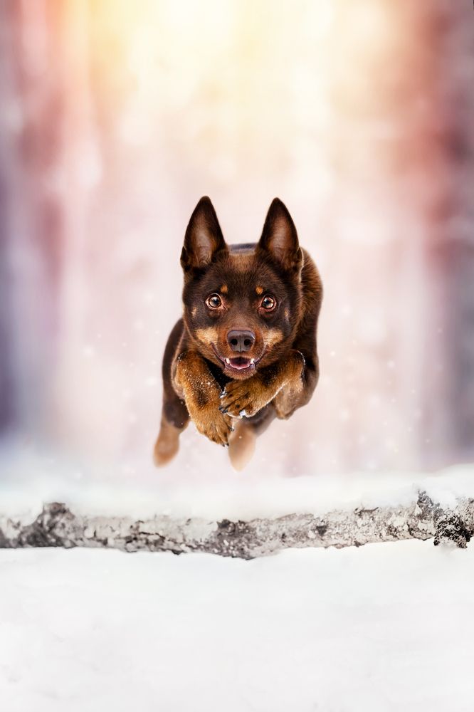 Фотография автора Tereza Krestová