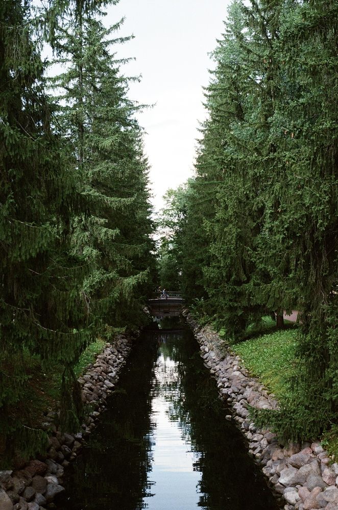 Photograph by Елизавета