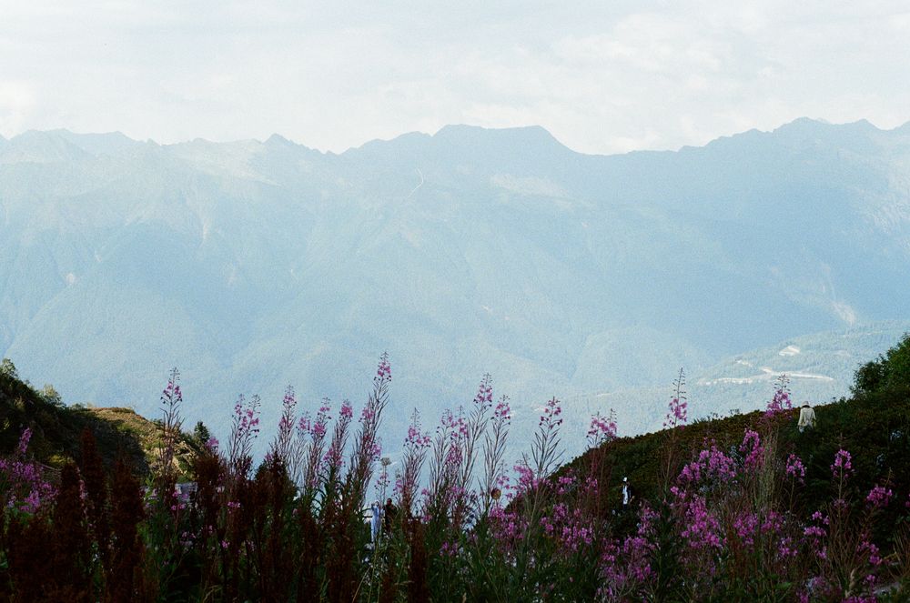 Photograph by Елизавета