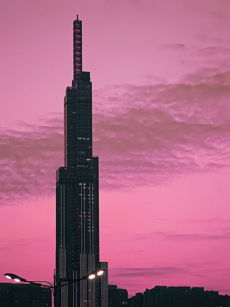 THE PINKY SKYscraper