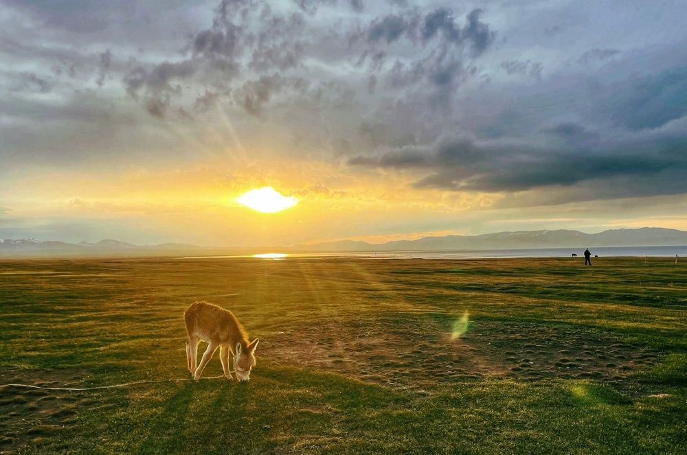 Photograph by Юлия