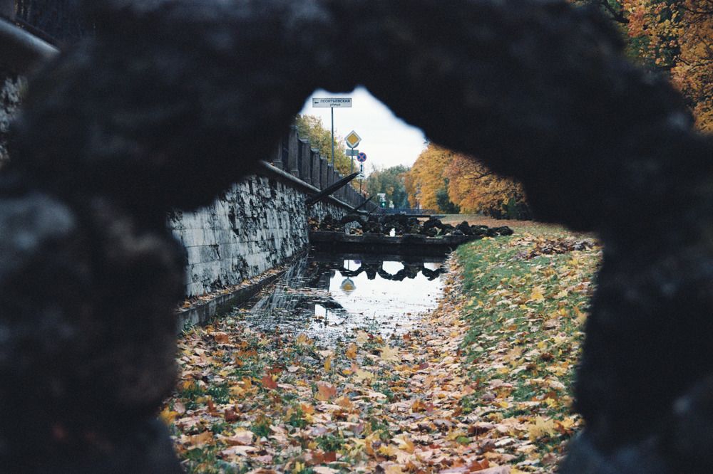Photograph by Елизавета