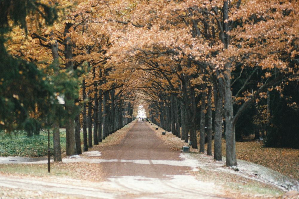 Photograph by Елизавета