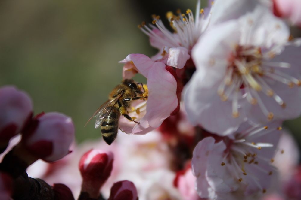 Photograph by Panagiotis Batatolis