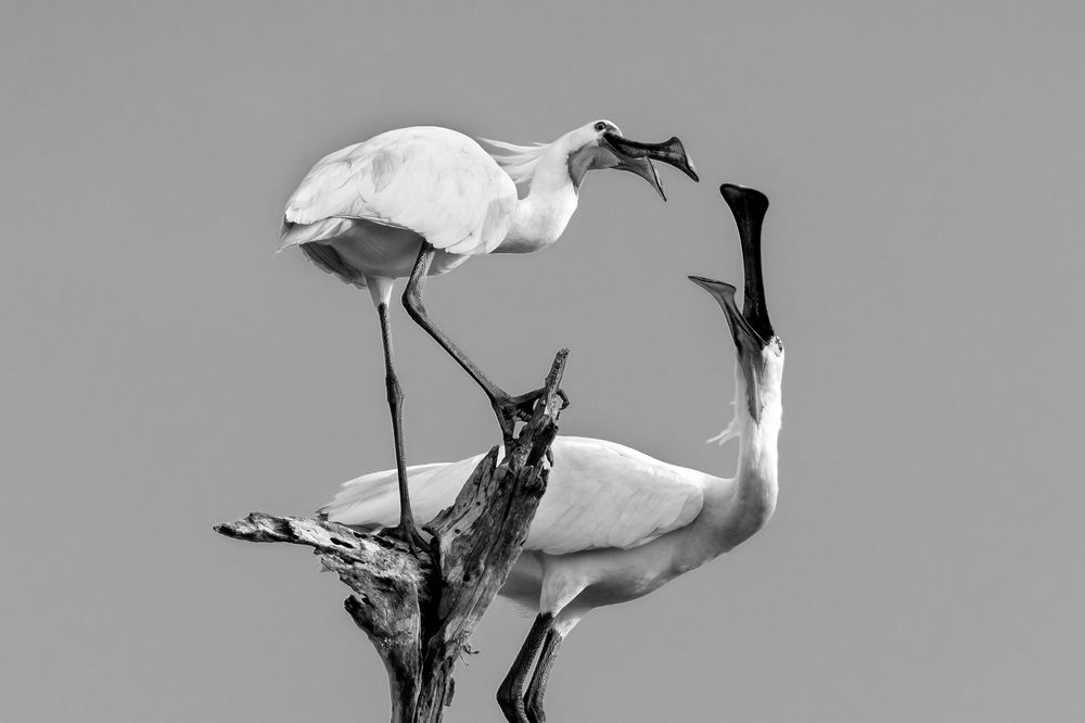 Photograph by Валерия Трейтяк