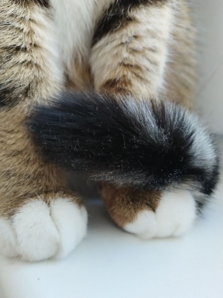 Photograph by Юлія Гацко