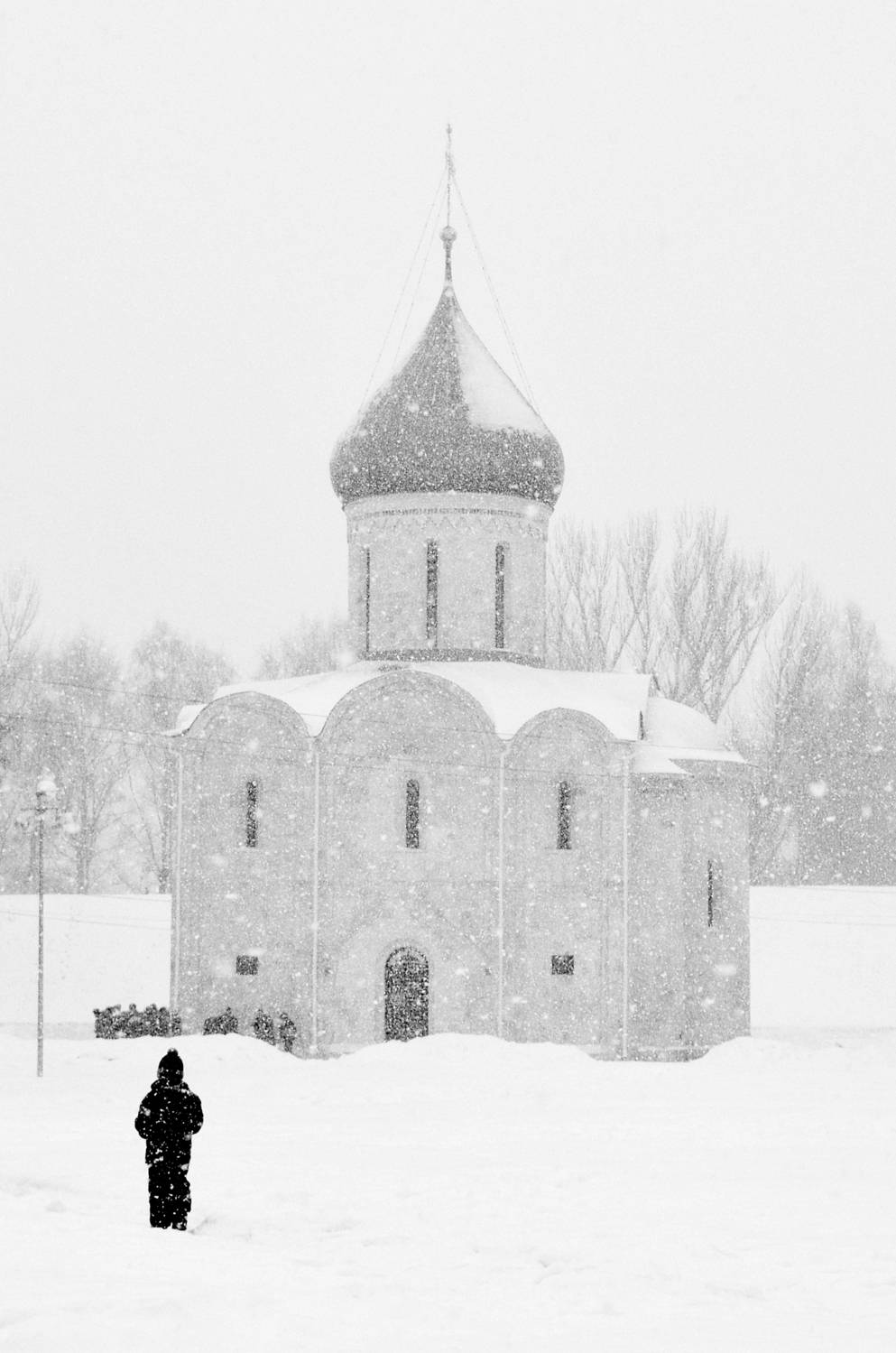 Метель / The snowstorm