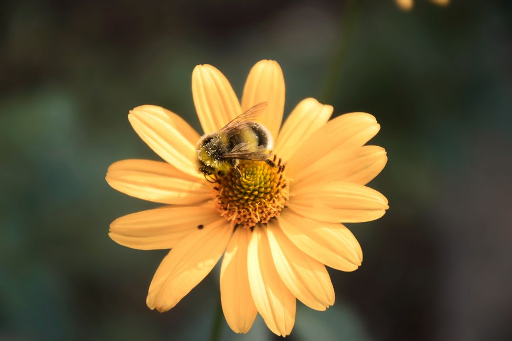 Photograph by Даников Анастасия