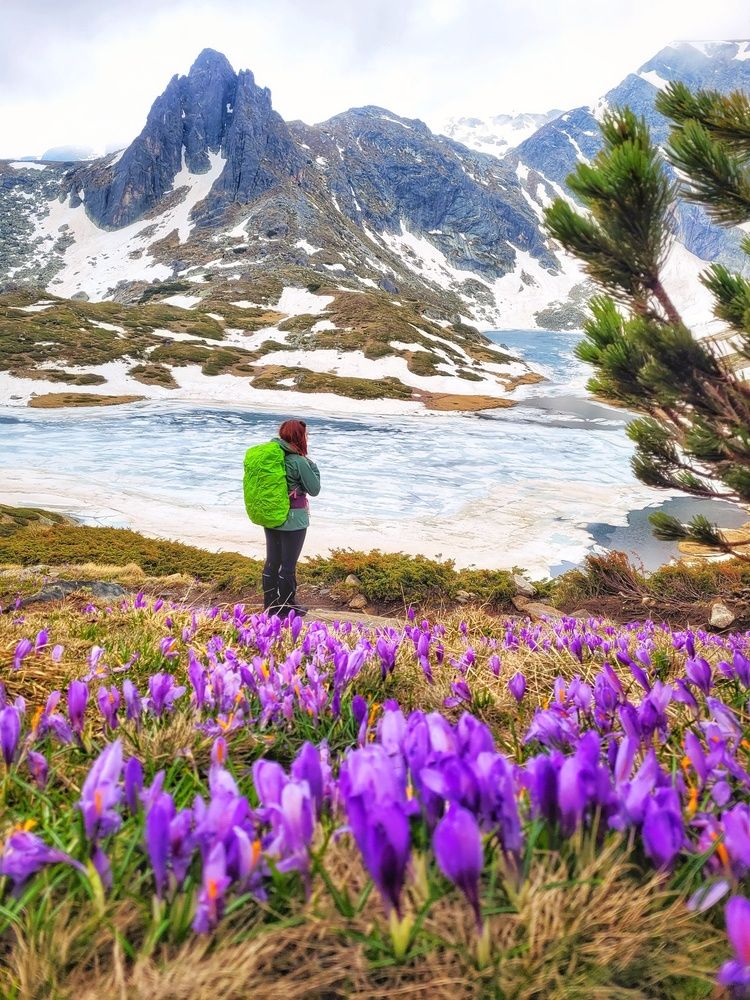Фотография автора Bogdan Barbulescu