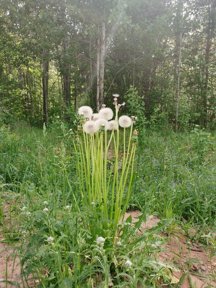 Photograph by Калинина Анастасия