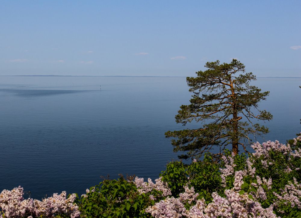 Photograph by Marina