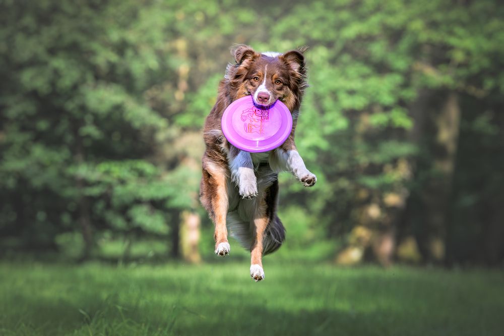 Photograph by Lucie Nermuťová