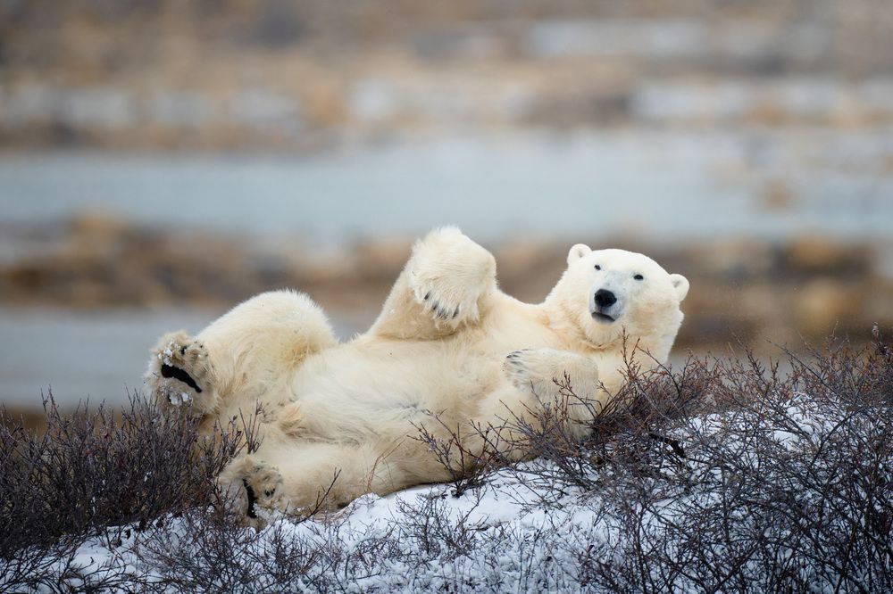 Фотография автора Karthik Subramaniam