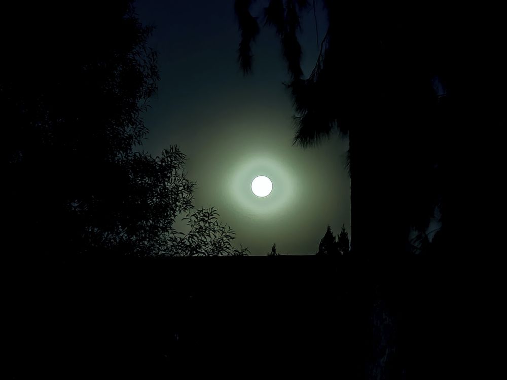 The Radiant Halo White Pearl