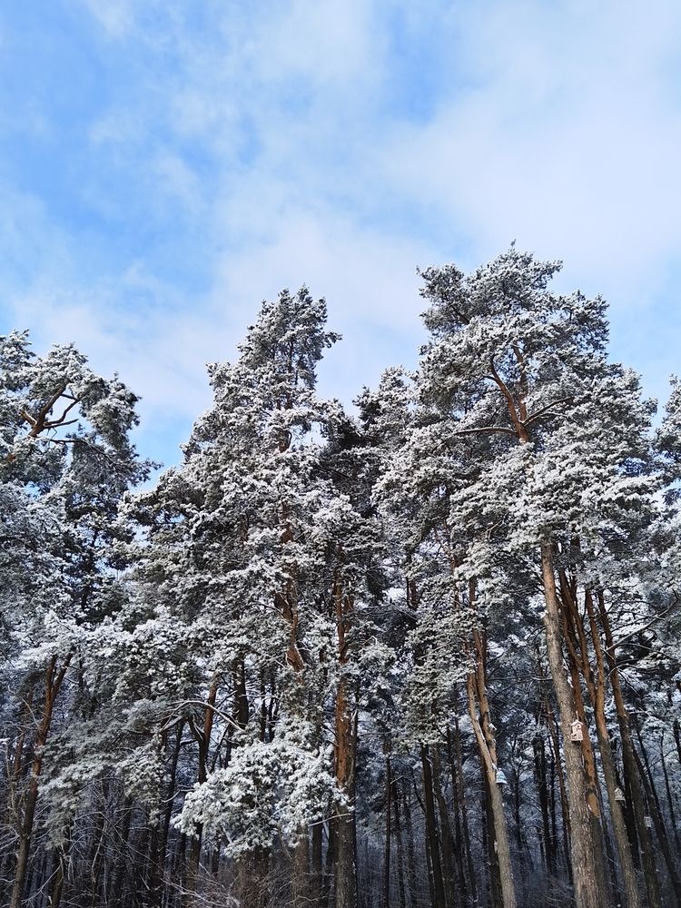 Photograph by Юлія Гацко