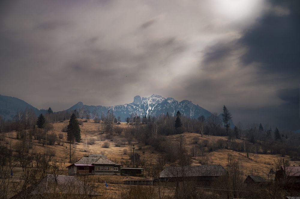 Photograph by CRISTIAN LIVEZEANU