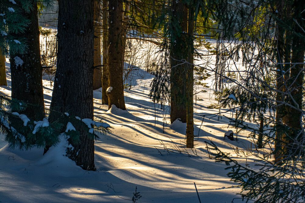 Photograph by Людмила Баймухаметова