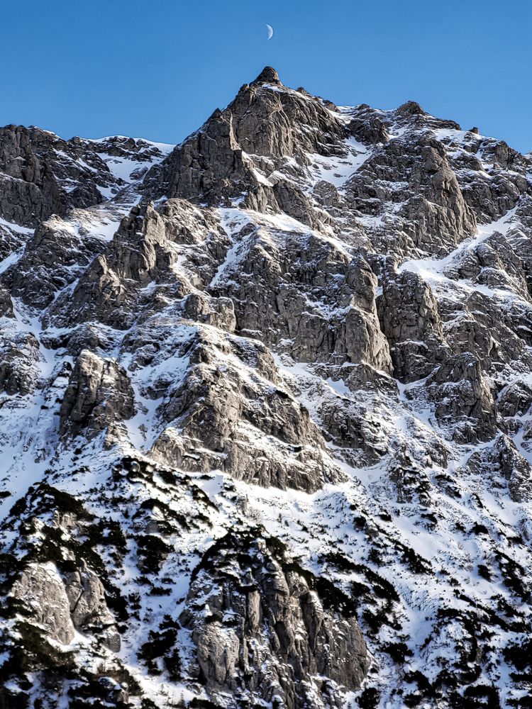 Photograph by David-Alexandru Span