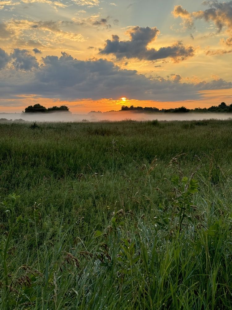 Photograph by Антон Жирнов