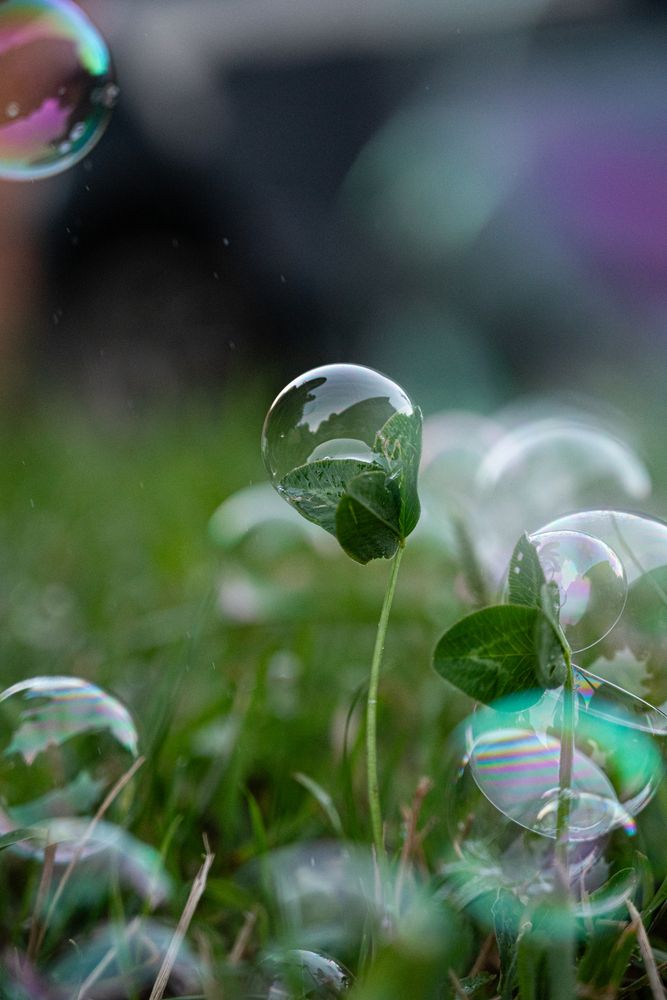 Photograph by Надежда Желтова