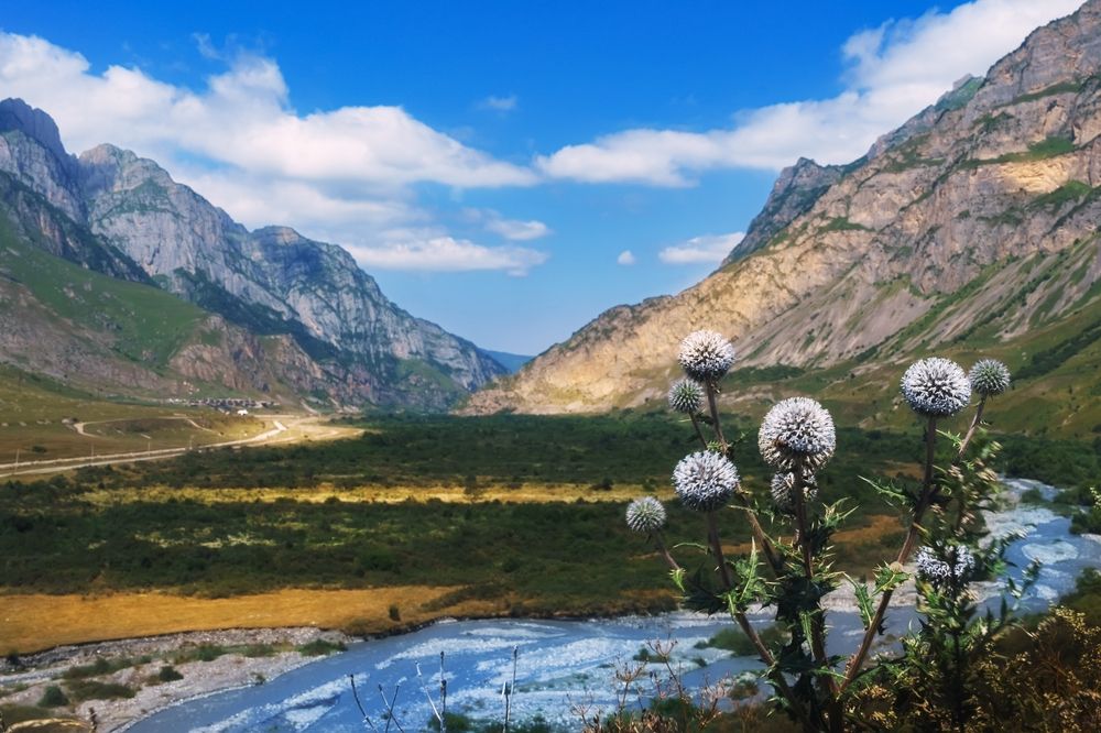 Photograph by Елена Лидмец