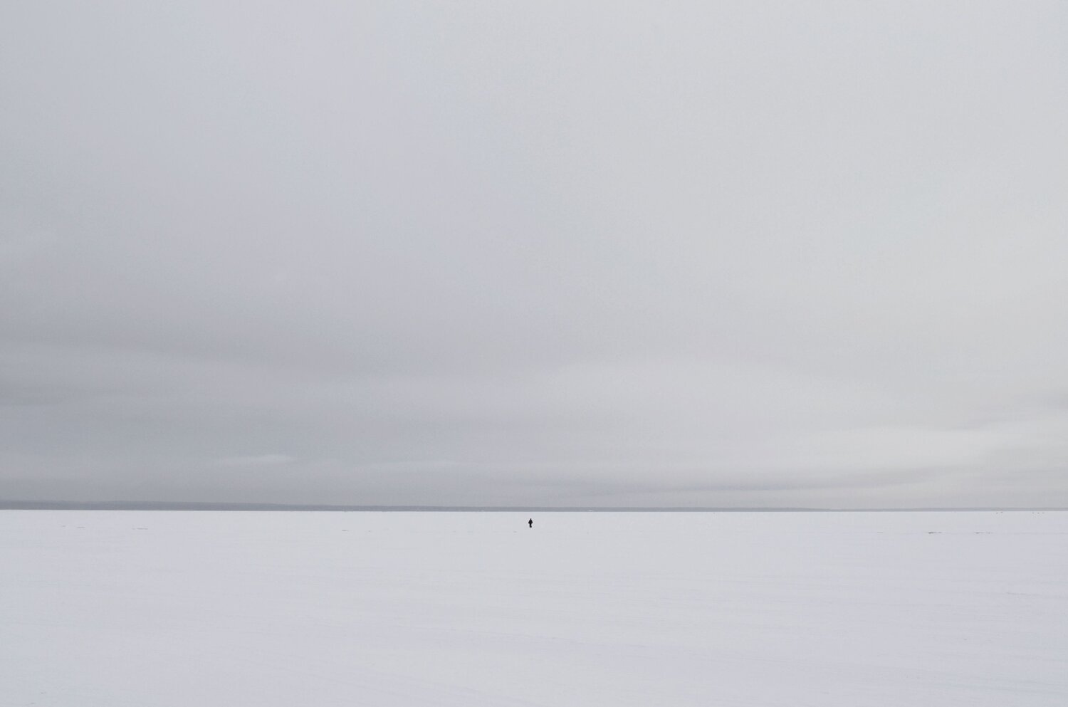 Человек / The human
