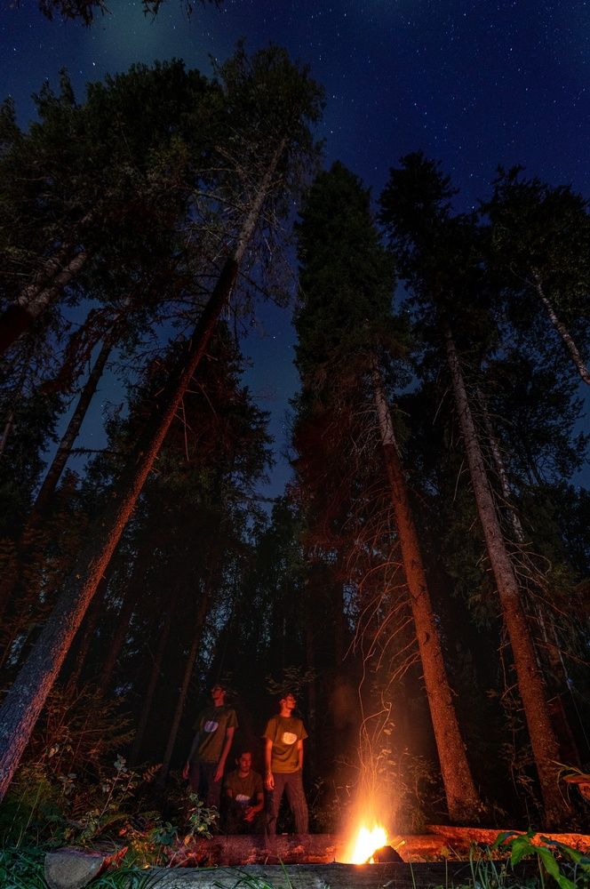 Photograph by Сильва Татьяна