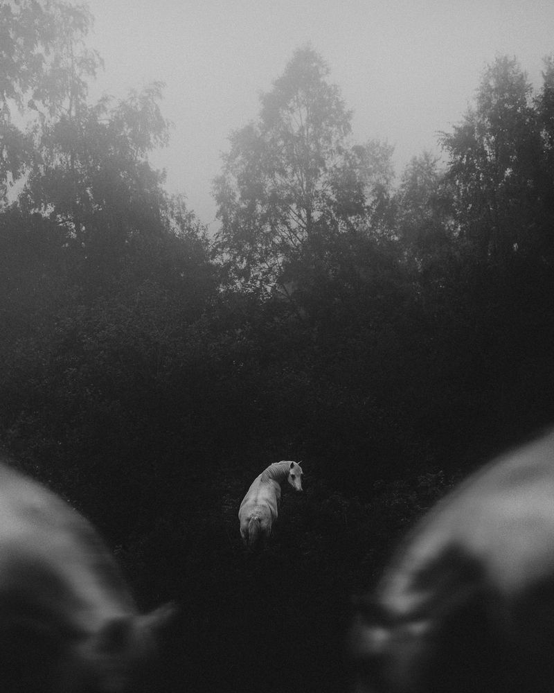 Photograph by Lara Baeriswyl