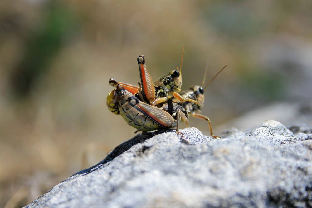 Photograph by CRISTIAN LIVEZEANU