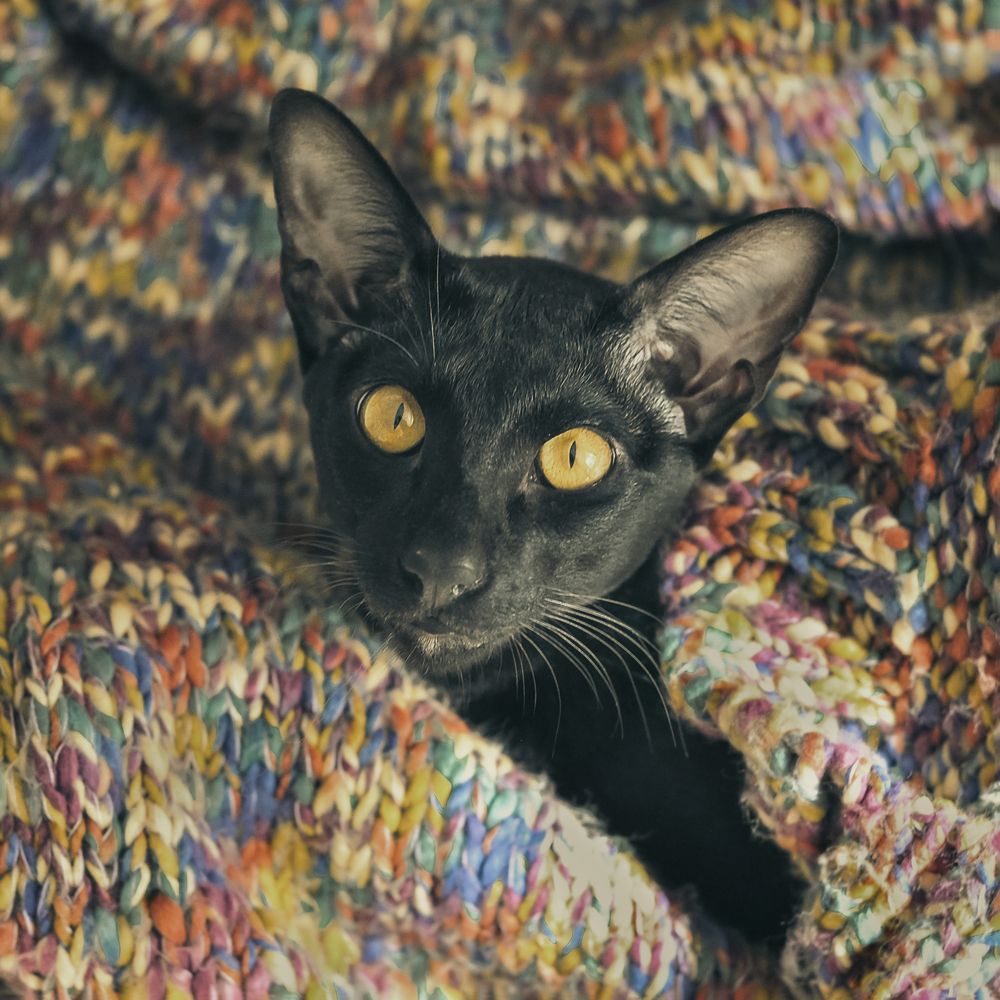 Photograph by Рыжова Александра