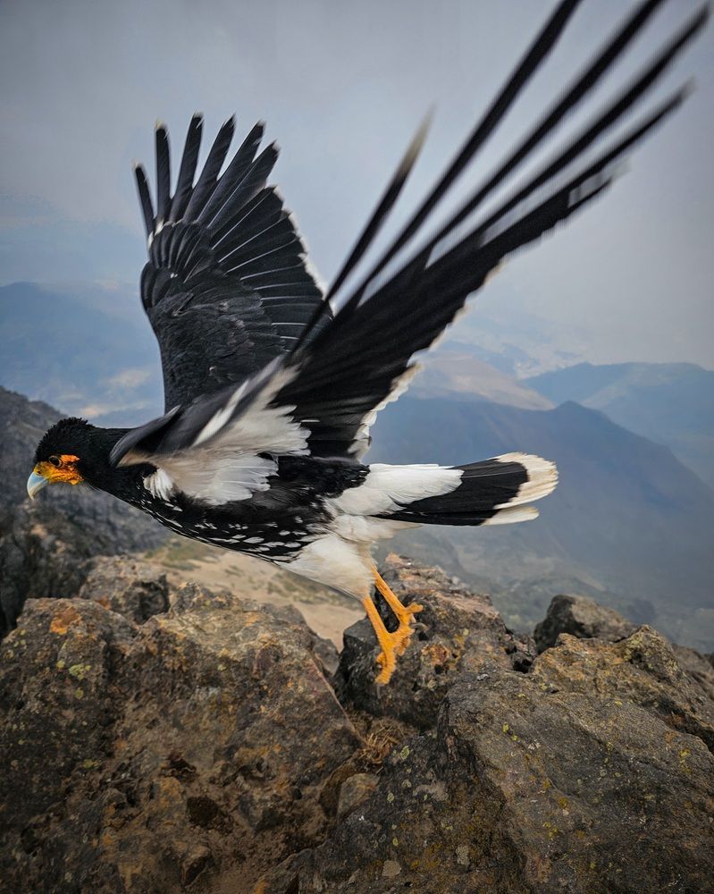 Photograph by Evgeny Pochaev